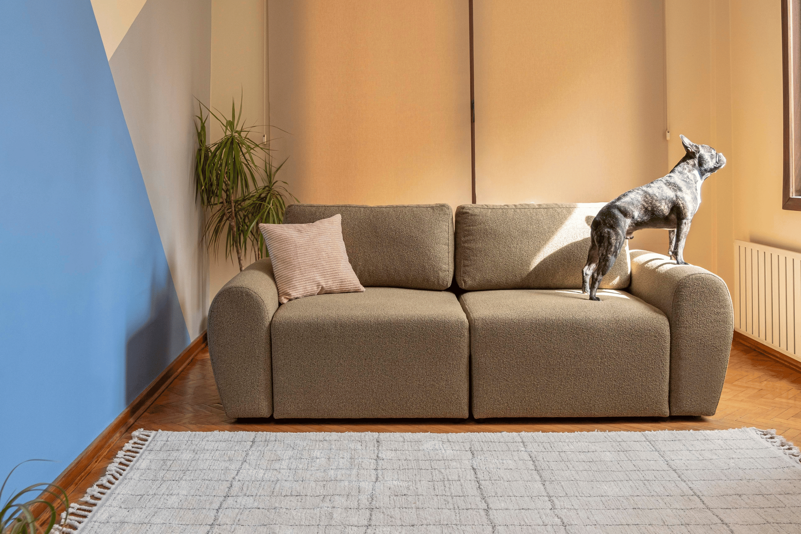 Settee, Sofa or Couch: What Soffie Calls It