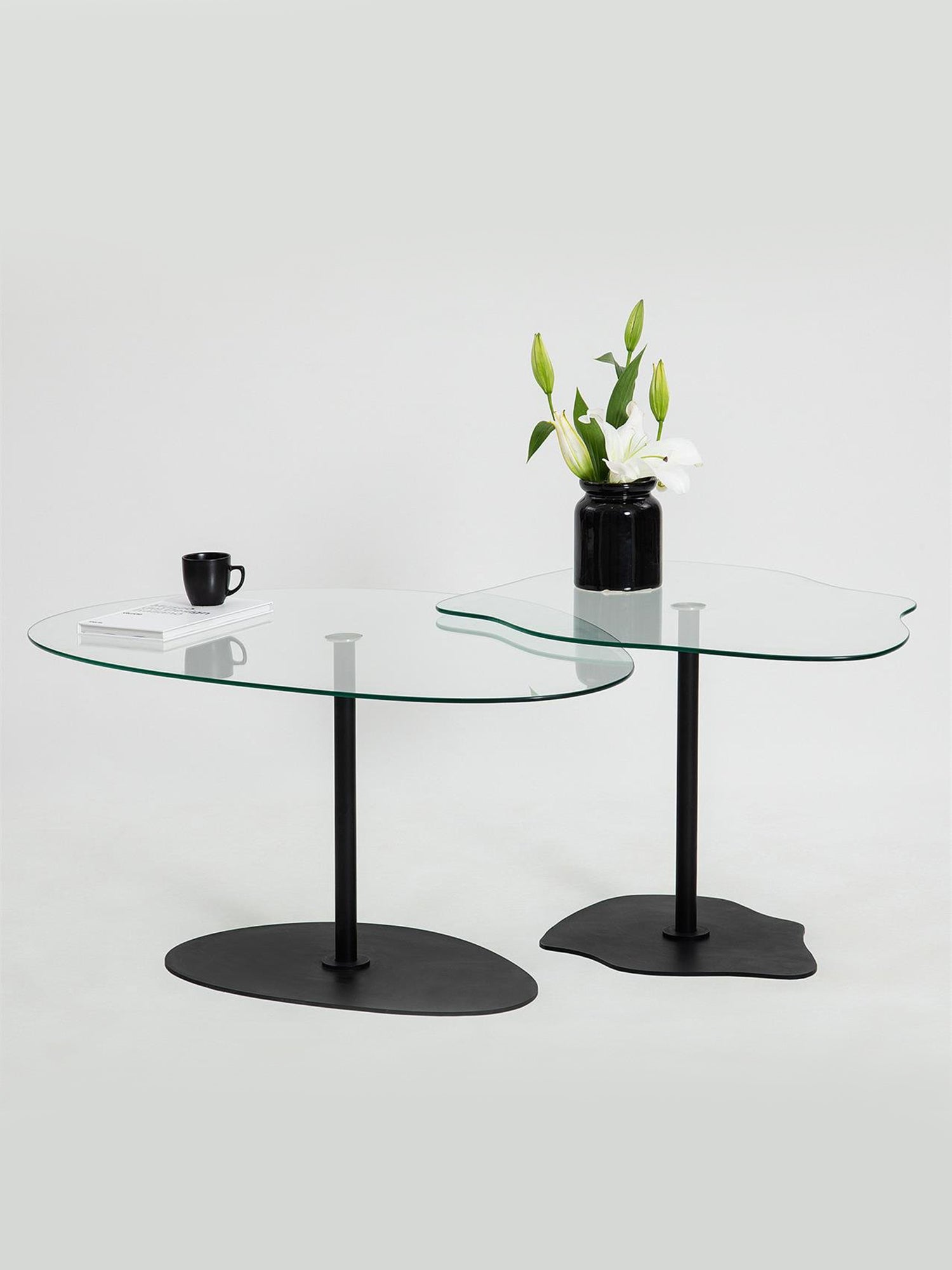 Dior & Porto Clear Glass Nesting Table Black7