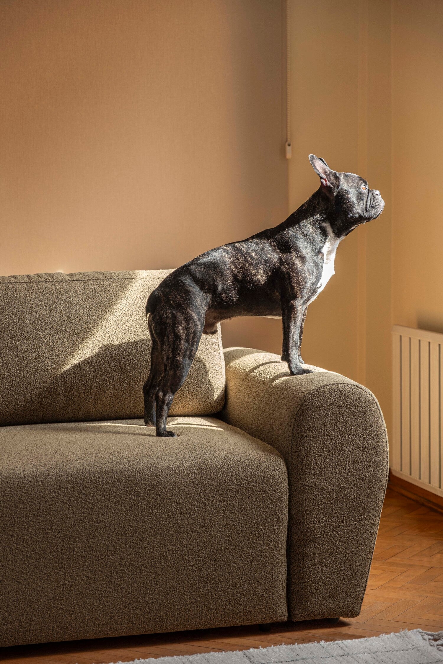 Nest Armchair Teddy Green1