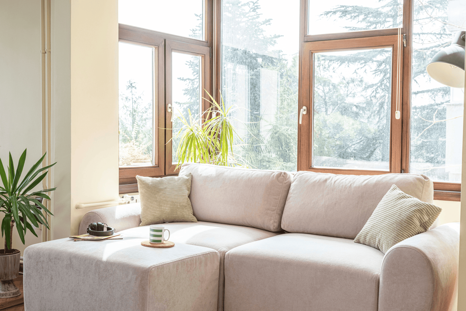 Sofa Beds in Canada: What Soffie Offers and What They Cost