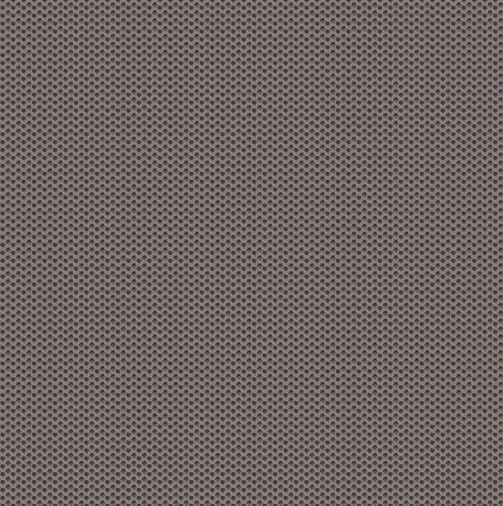 Ashfall Grey Swatch