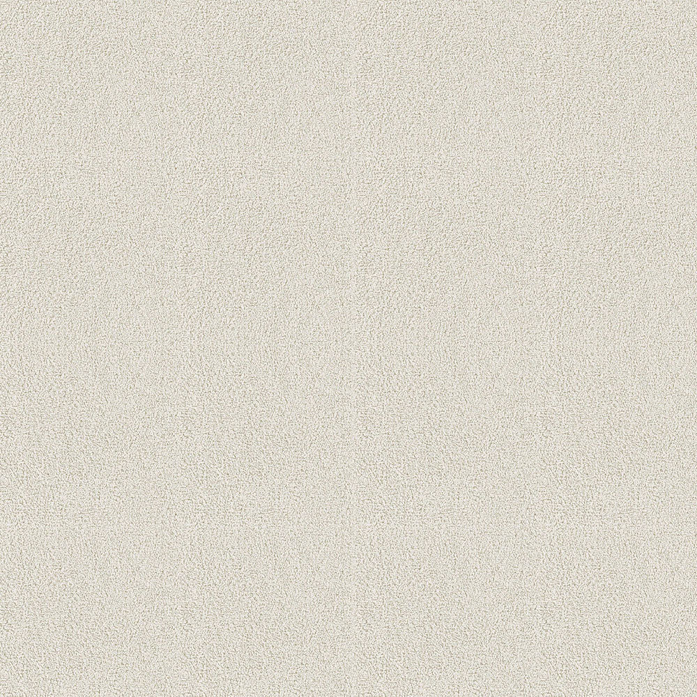 Blush Beige Swatch