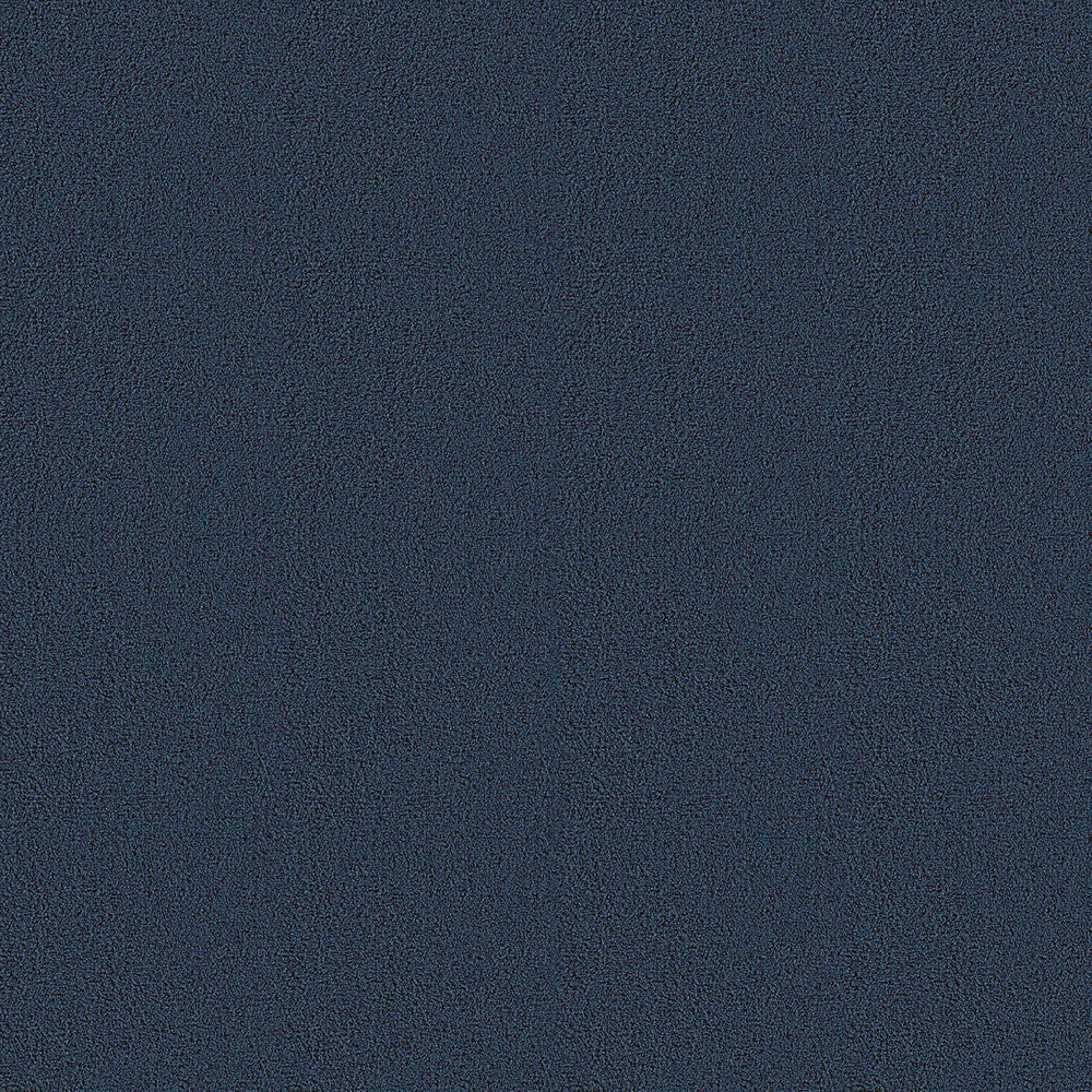 Navy Blue Swatch
